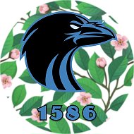 Новости Воронеж 1586 | Борисоглебск, Семилуки, Россошь, Острогожск, Лиски, Павловск, Калач, Бобров, Бутурлиновка, Рамонь, Богучар, Таловая, Кантемировка, Поворино, Панино, Кашира, СВО ЧП ДТП @vrn1586