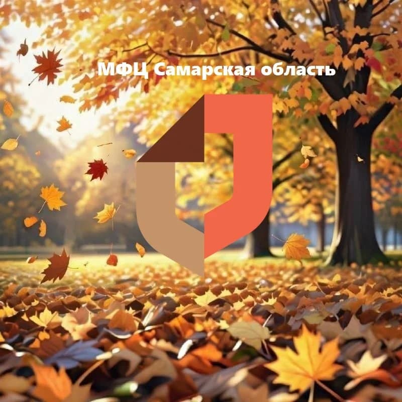 
МФЦ Самарская область
