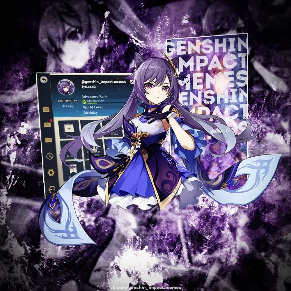 
GENSHIN IMPACT
