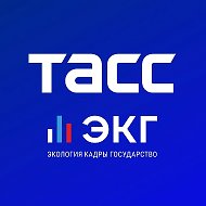 ТАСС / ЭКГ-Рейтинг @ekgtass