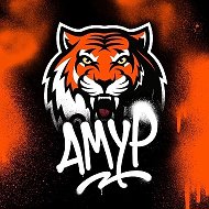 Территория Тигров | ХК "Амур" @hcamur1957