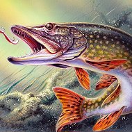 Рыбалка. Рыба. Рыбаки🎣 @rybalka555
