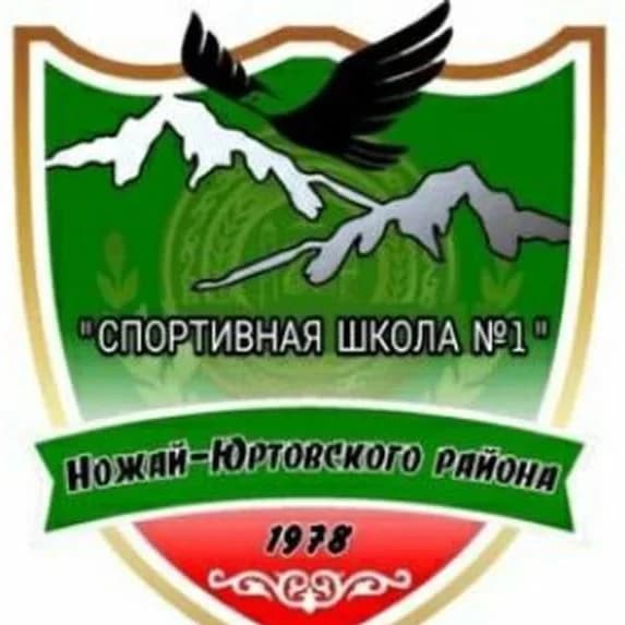 
ГБУ ДО "Спортивная школа № 1 Ножай-Юртовского района"
