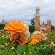 Самая красивая область - Воронежская