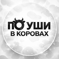 По уши в коровах🐄 @vet_cows