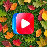 VK Видео @vkvideo