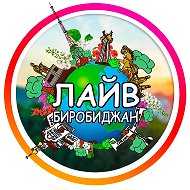 ЛАЙВ Биробиджан @livebir