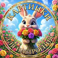 Картинки для настроения😊 | Юмор @voronej_life_media
