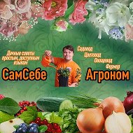 СамСебеАгроном @samsebeagronom