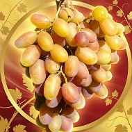 Кинельский виноград @kinel_vinograd