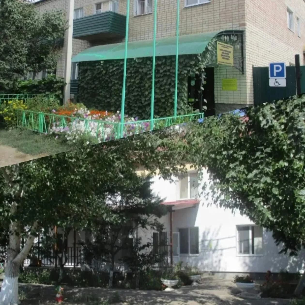 
ГАУ СО " Новоузенский ДИПИ"
