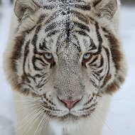Барнаульский зоопарк @zoo22ru