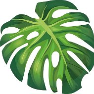 Плантас | про комнатные растения и цветы @plantas
