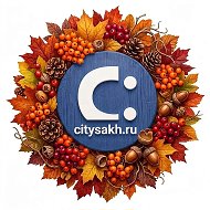 Citysakh.ru: новости Сахалина и Курил @citysakh