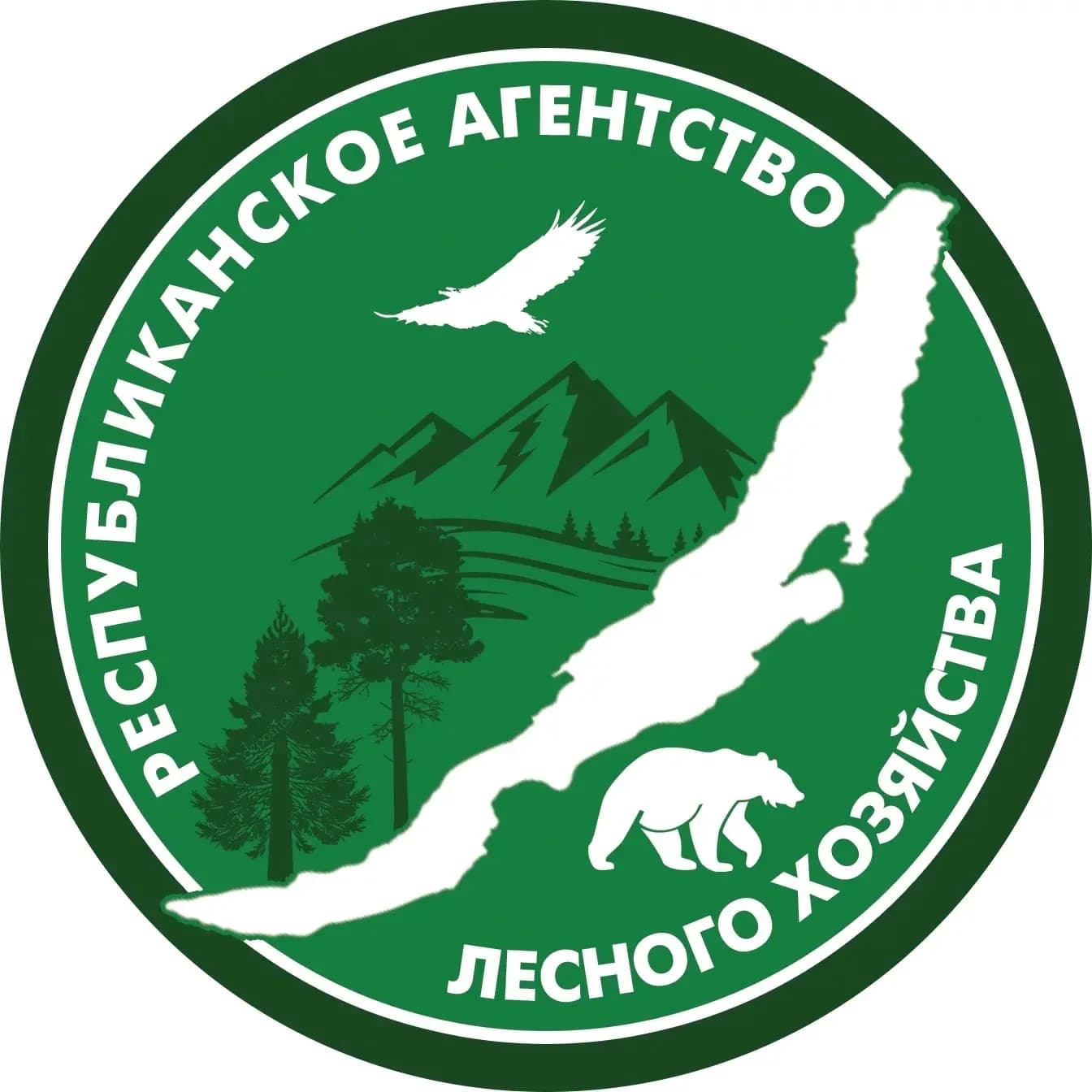 
Лесное хозяйство Бурятии
