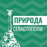 Севприроднадзор @sevprirodnadzor