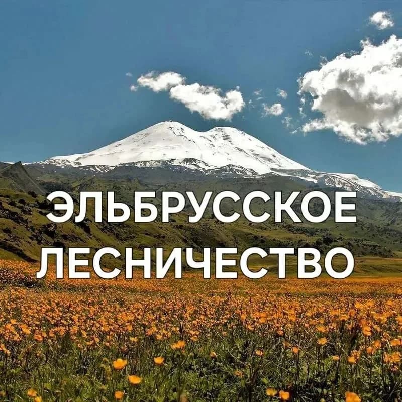 
ГКУ "Эльбрусское лесничество"
