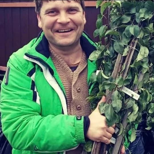 
Саженцы плодовых культур Алексея Юматова
