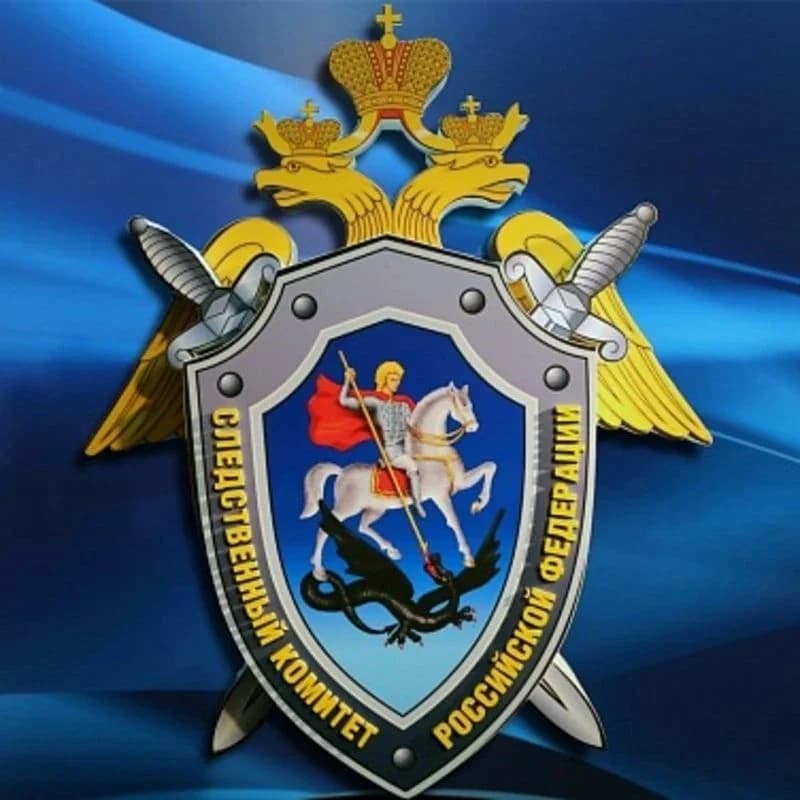 
Следком  Омск
