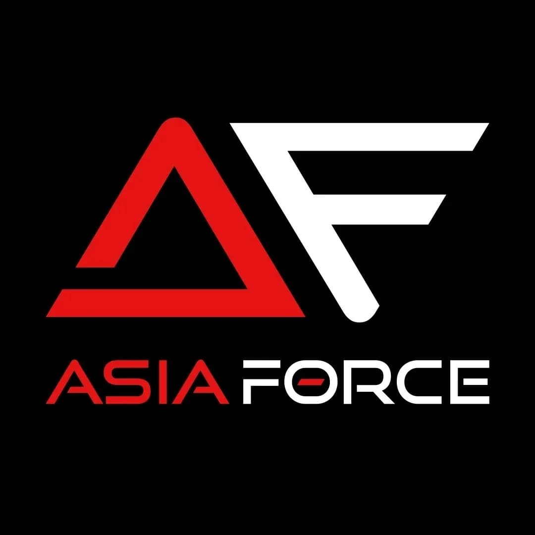
ASIAFORCE / ЧИП ТЮНИНГ
