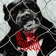 Pit Bull - Sound (Хип-хоп, Андеграунд) @pitbullsound