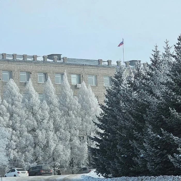 
Лесозаводский муниципальный округ
