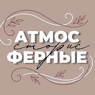 АТМОСФЕРНЫЕ СТОРИС @vibe_stories