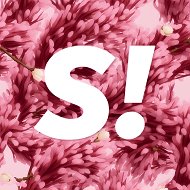 Super.ru @super