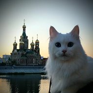 НОВОСТИ ЙОШКАР-ОЛА МАРИЙ ЭЛ @news_yo12