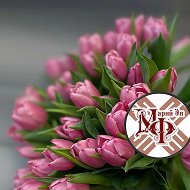 Минфин Республики Марий Эл @id1200000874_gos