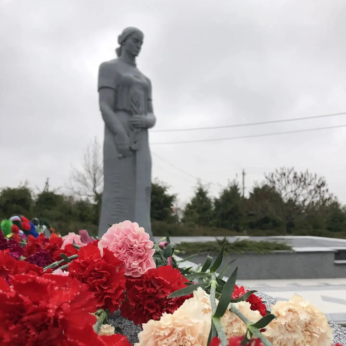 
Администрация Репьёвского муниципального района

