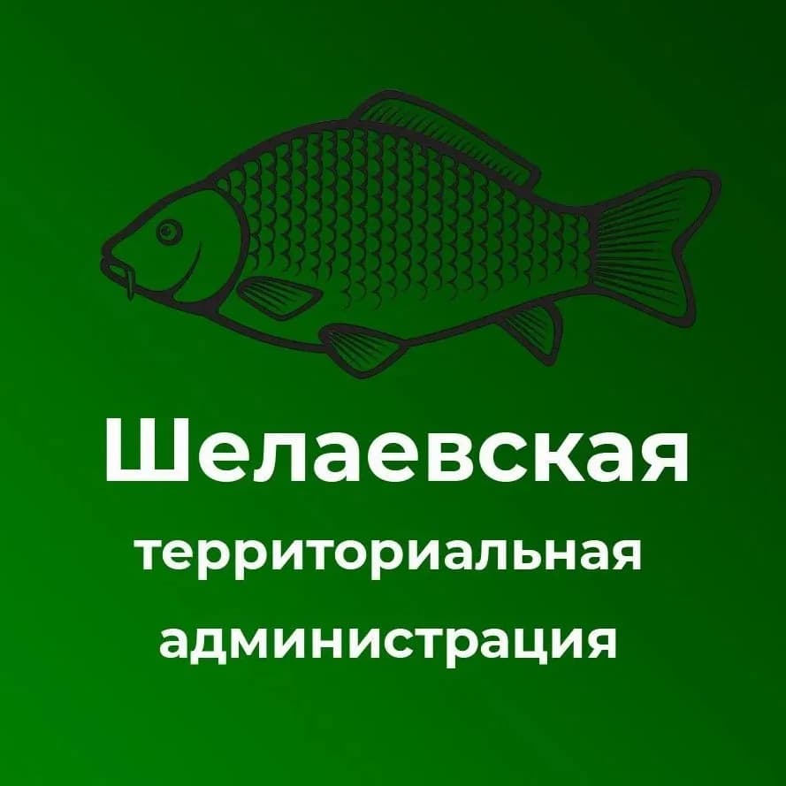 
Шелаевская территориальная администрация
