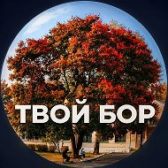 Твой Бор | tvoy-bor.ru @tvoybor
