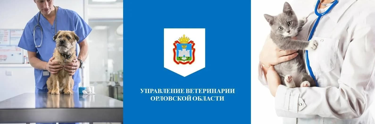 
Управление ветеринарии Орловской области
