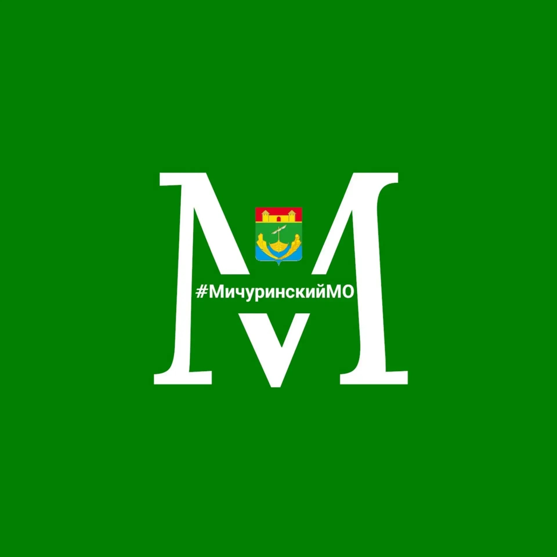 
Мичуринский МО Тамбовской области
