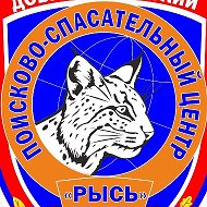 Поисково-спасательный центр "РЫСЬ" @dpsc_nn52