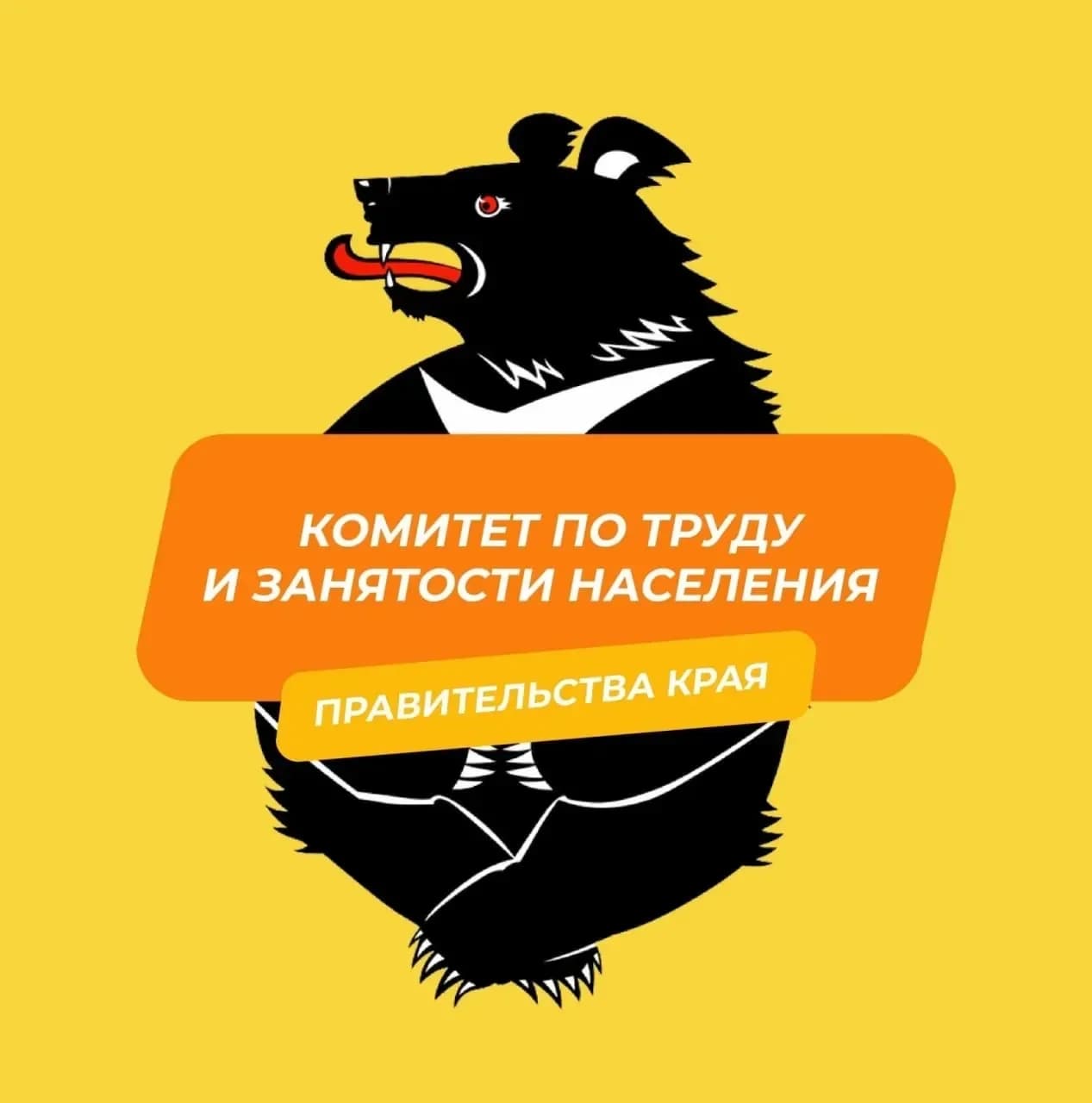 
Комитет по труду и занятости населения Правительства Хабаровского края
