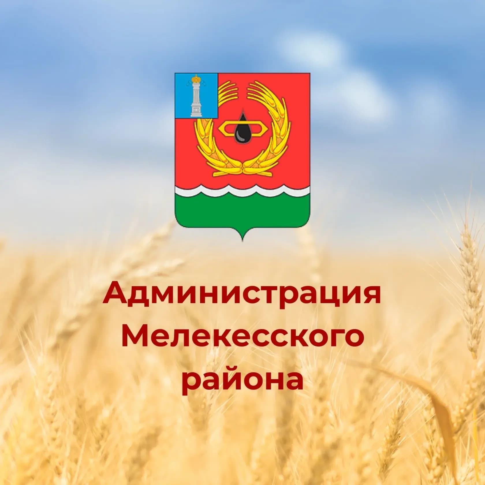 
Администрация Мелекесского района
