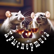 Крыспертиза @gossipsinthecity