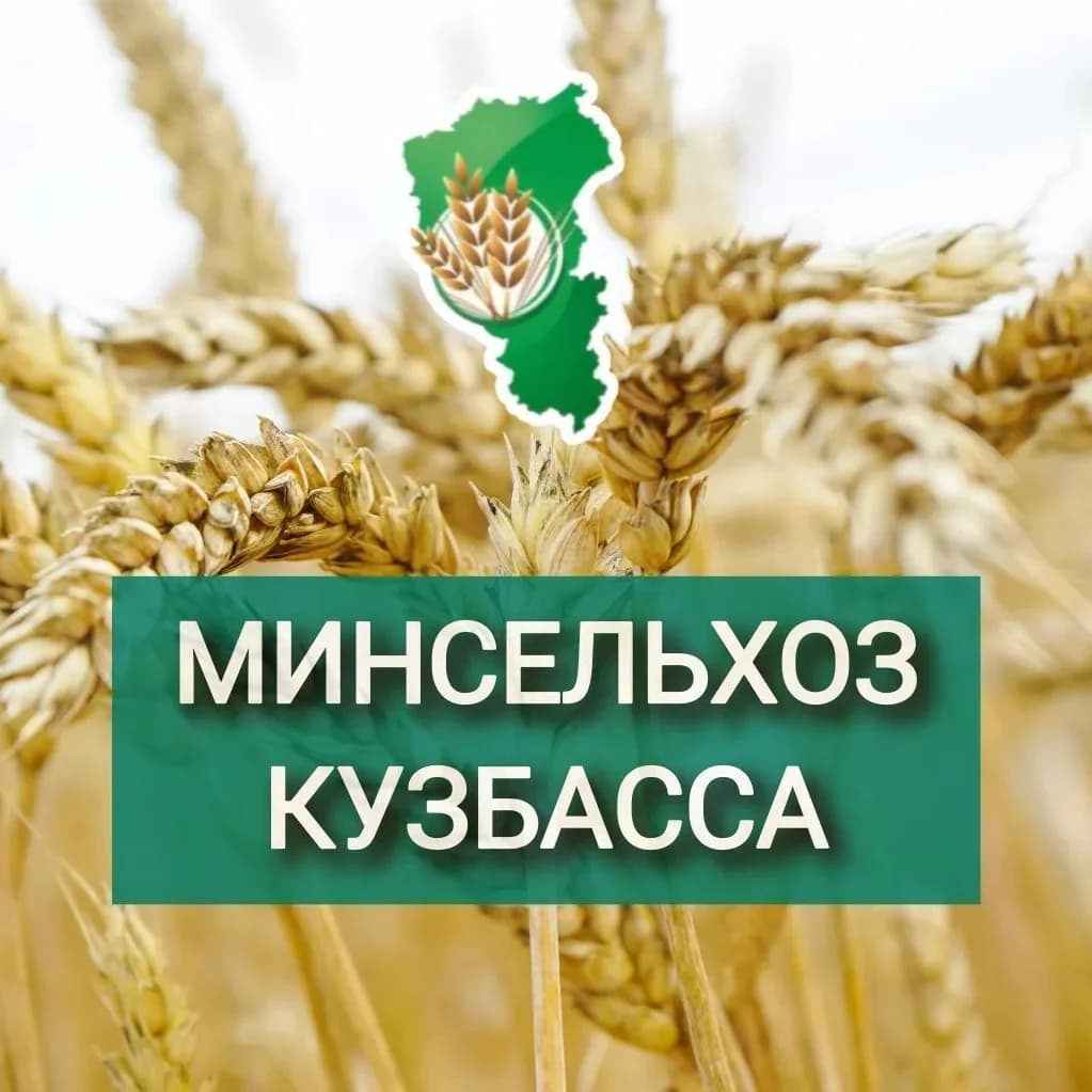 
Минсельхоз Кузбасса
