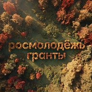 Росмолодёжь.Гранты @rosmolodezgrants
