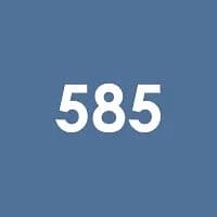 
Школа № 585 Кировского района Санкт-Петербурга
