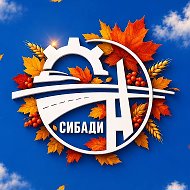 Университет СибАДИ @id5502029210_biz