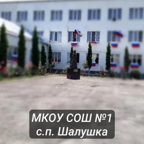 
МКОУ "СОШ №1"  с.п. Шалушка
